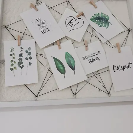 Apartman Dream *